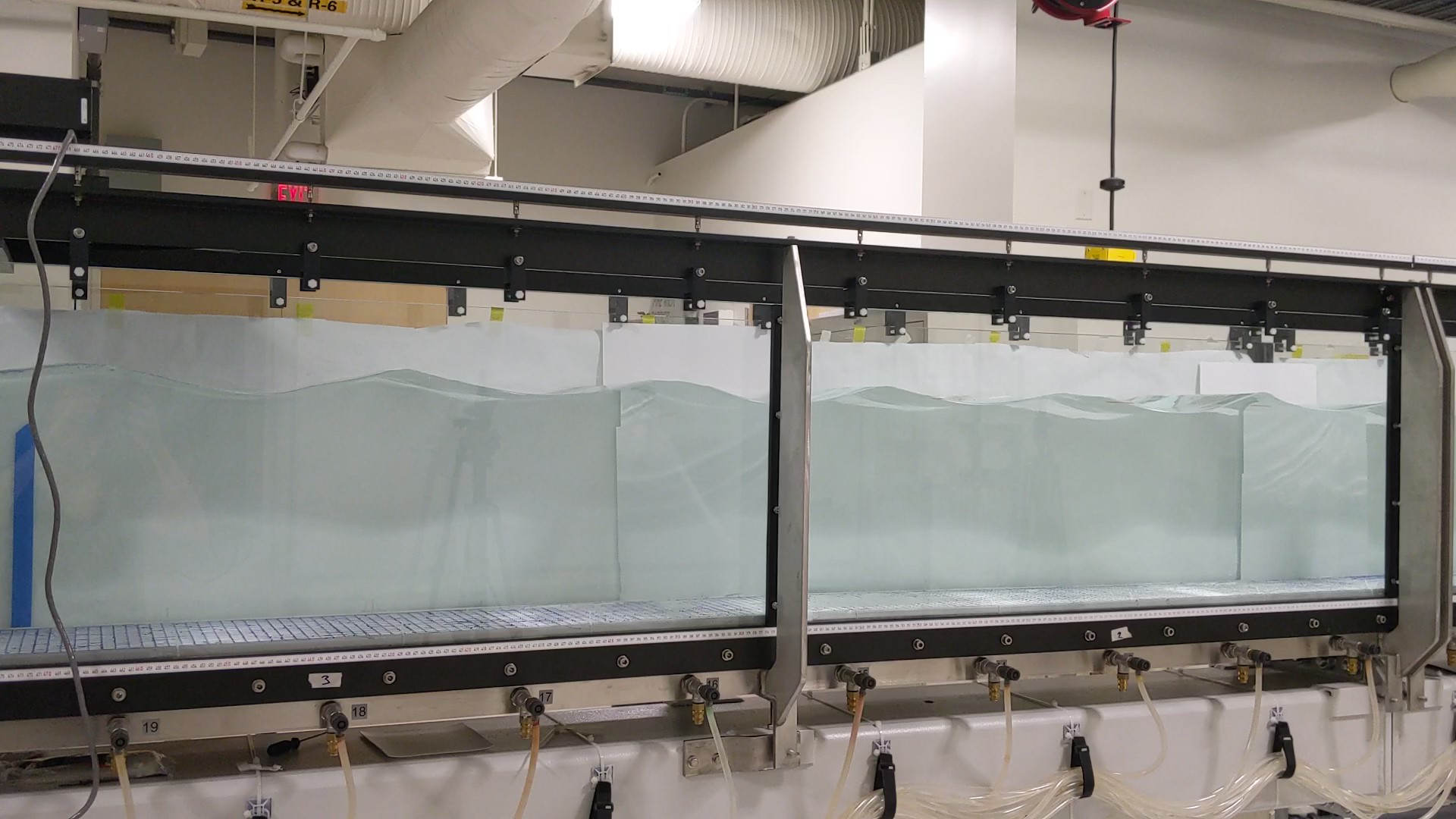 Transport of Non-Spherical Particles in Wavy Flows