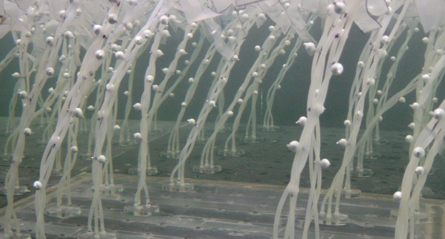 Model kelp in a laboratory experiment