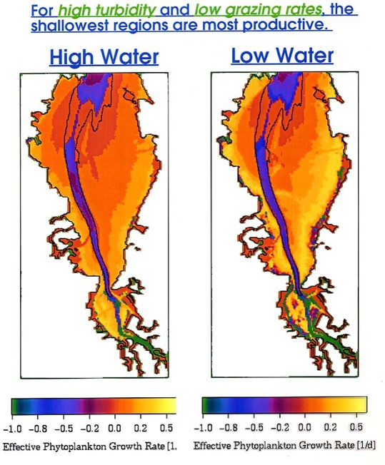 Plot showing simulations of phytoplankton growth rates in San Francisco Bay