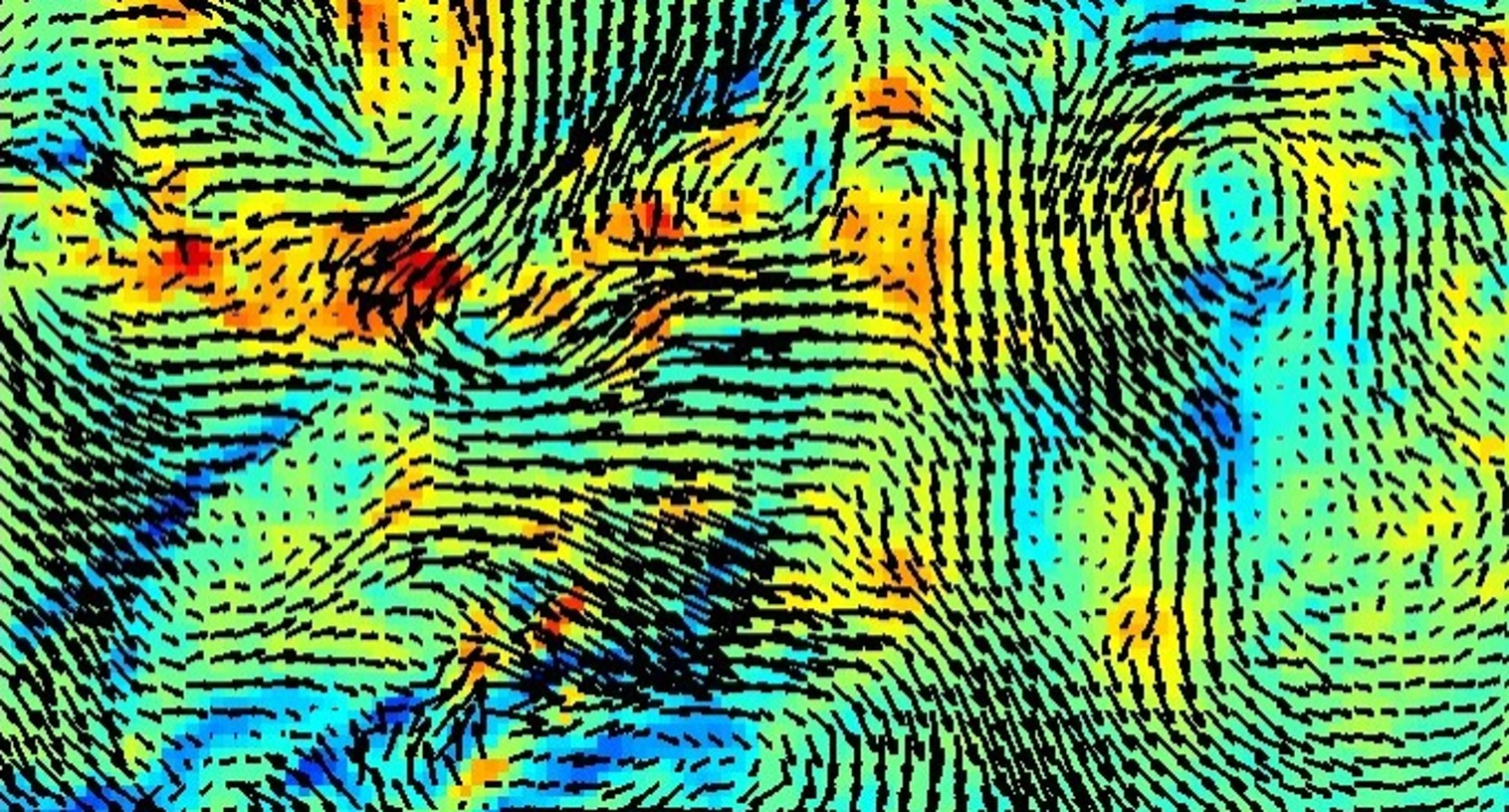 Particle Imaging Velocimetry (PIV) measurements in a kelp canopy flow