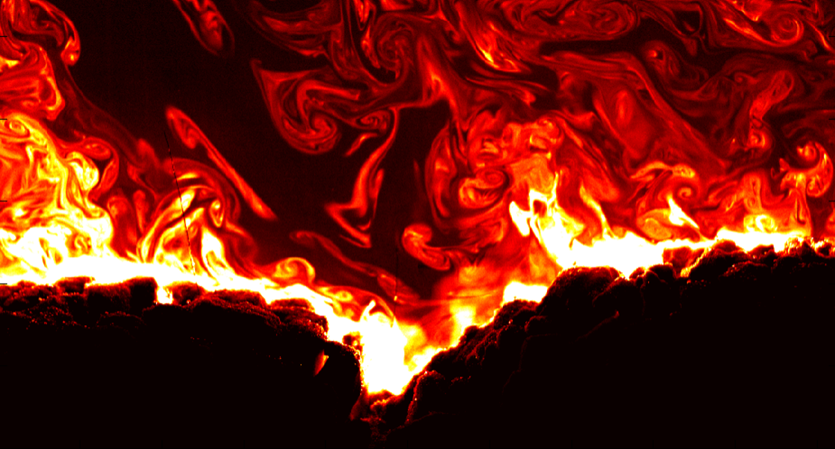 Planar Laser Induced Fluorescence image taken for turbulent flow over corals