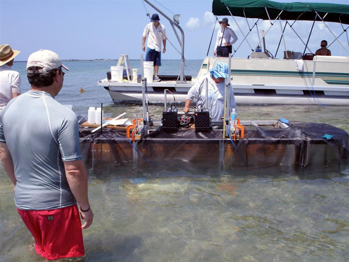 In-situ field experiments with a race-track flume in Florida Bay