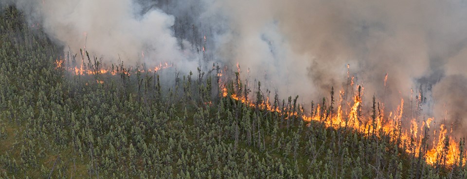 Interaction of canopy and plume dynamics and its impact on wildfire spread