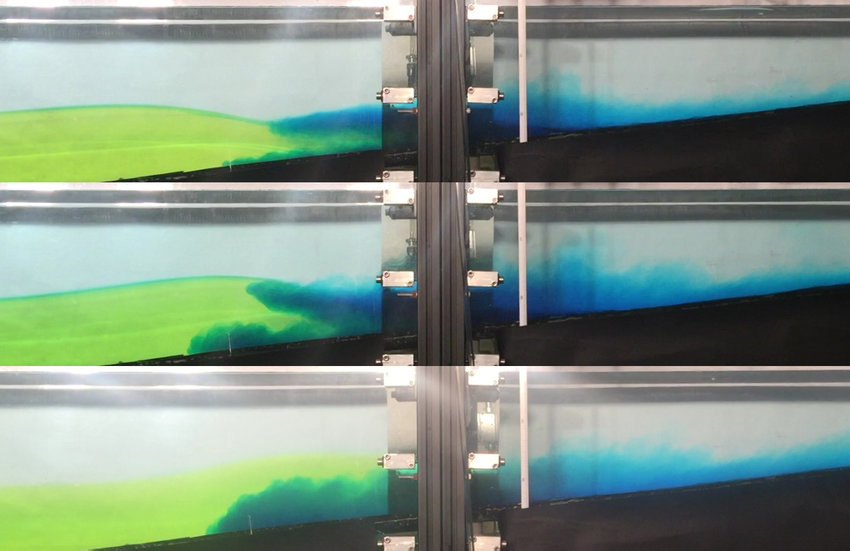 Effects of internal waves on mixing and transport by gravity currents