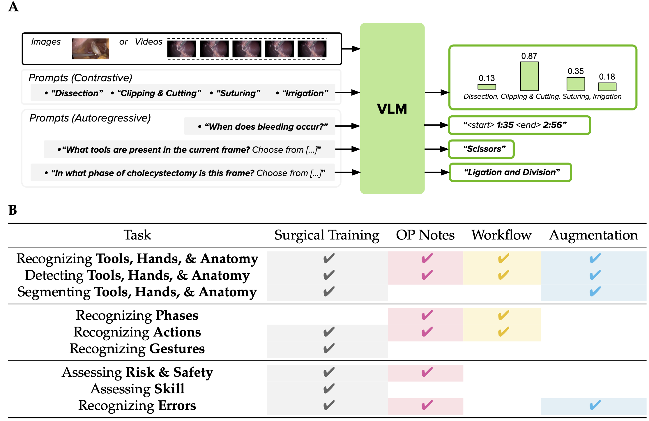 VLMs in Surgery