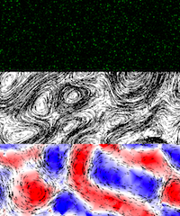 Particle Tracking Velocimetry