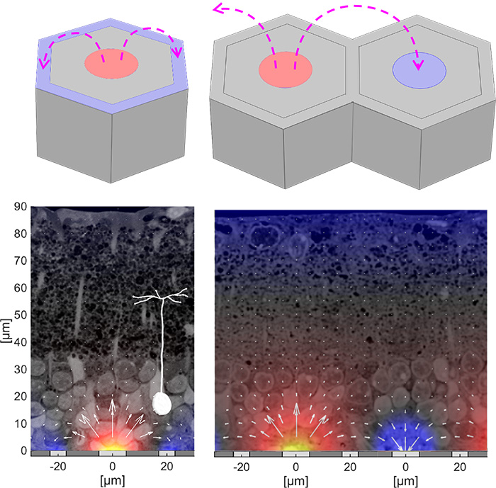 Research, Stanford Artificial Retina Project