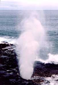 Blow Hole