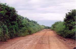 Road