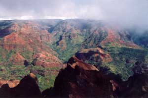 Waimea