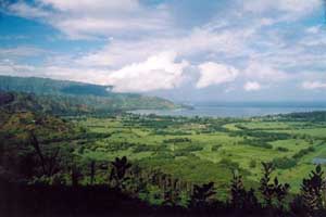 Hanalei 