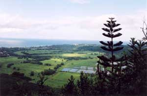 Kuilau 