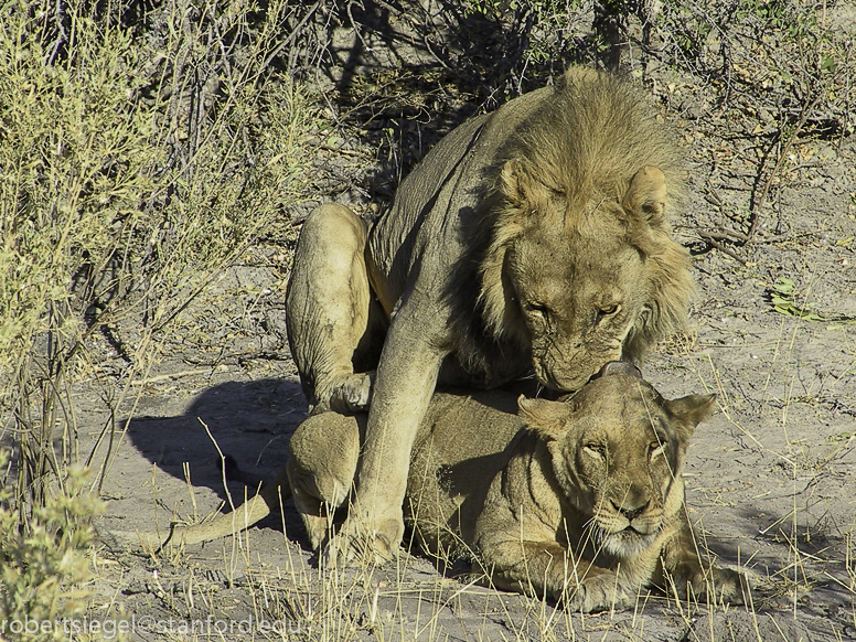 Botswana 2005