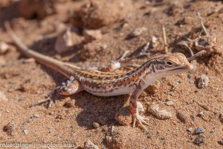 Namibia 2016