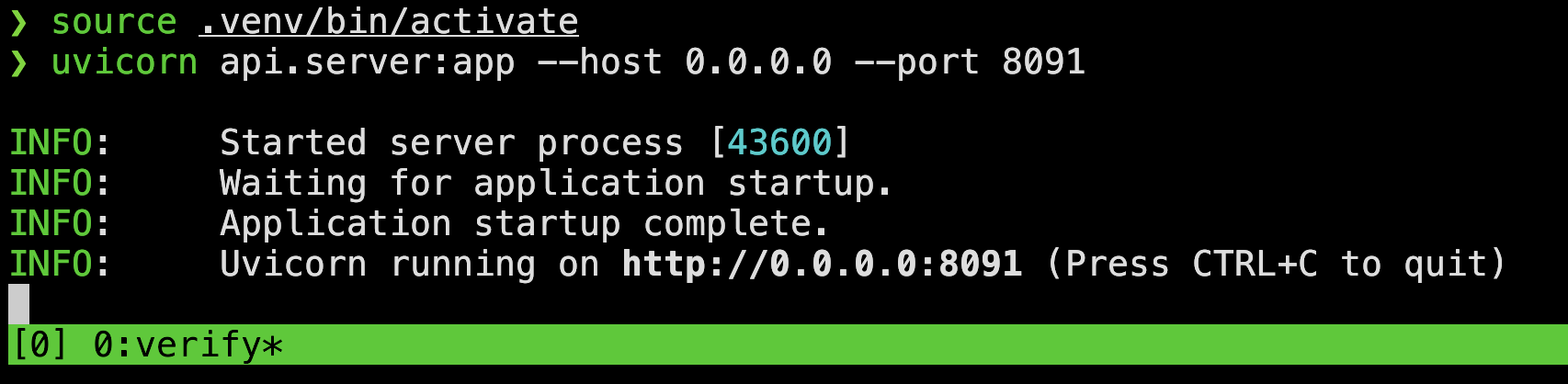 The Rethlas verification service running on port 8091