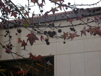 DSCN2622
