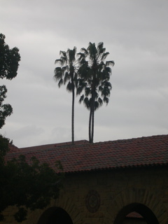 View from Inner Quad
