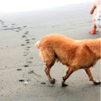 Costa-Rica-Set-5-165