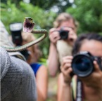 _FLP8464---Version-2