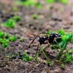 Costa-Rica-set-10-358