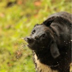 Costa-Rica-set-3-1170