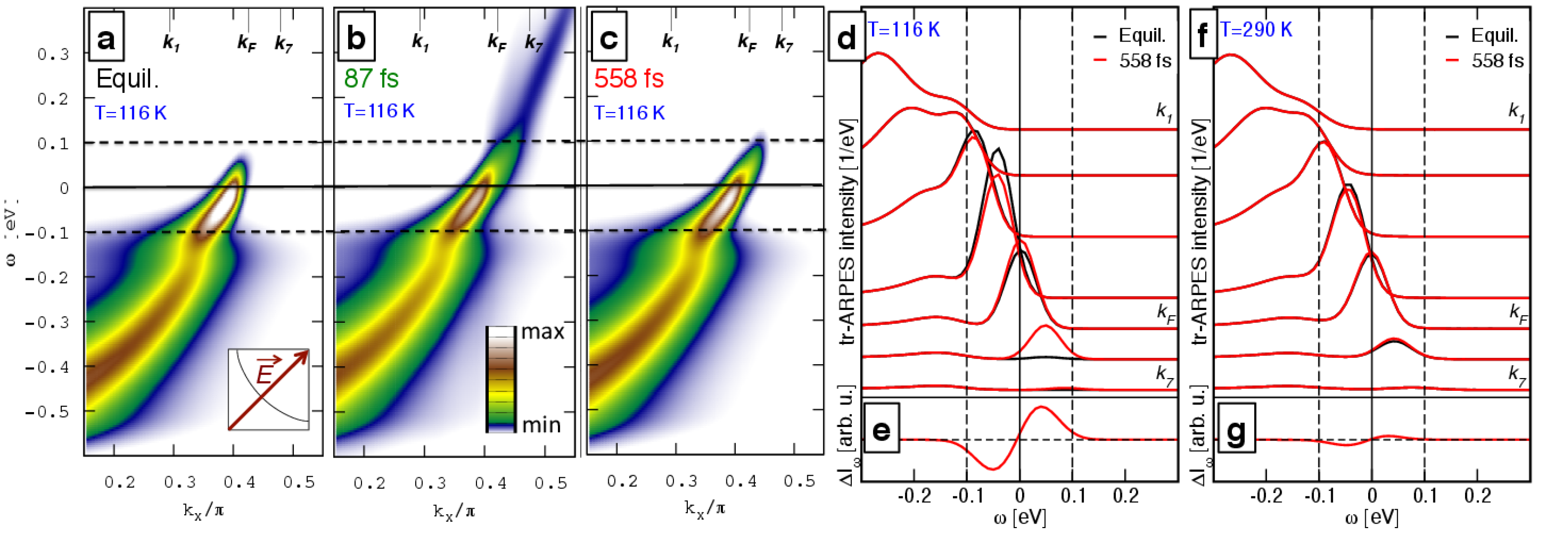 electron-phonon tr-ARPES