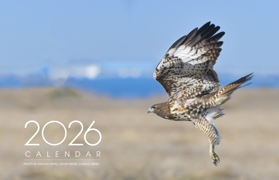 Description: Macintosh HD:Users:WenKaiWeng:BirdCalendar:calendar:CalendarFrontPage_files:image003.jpg