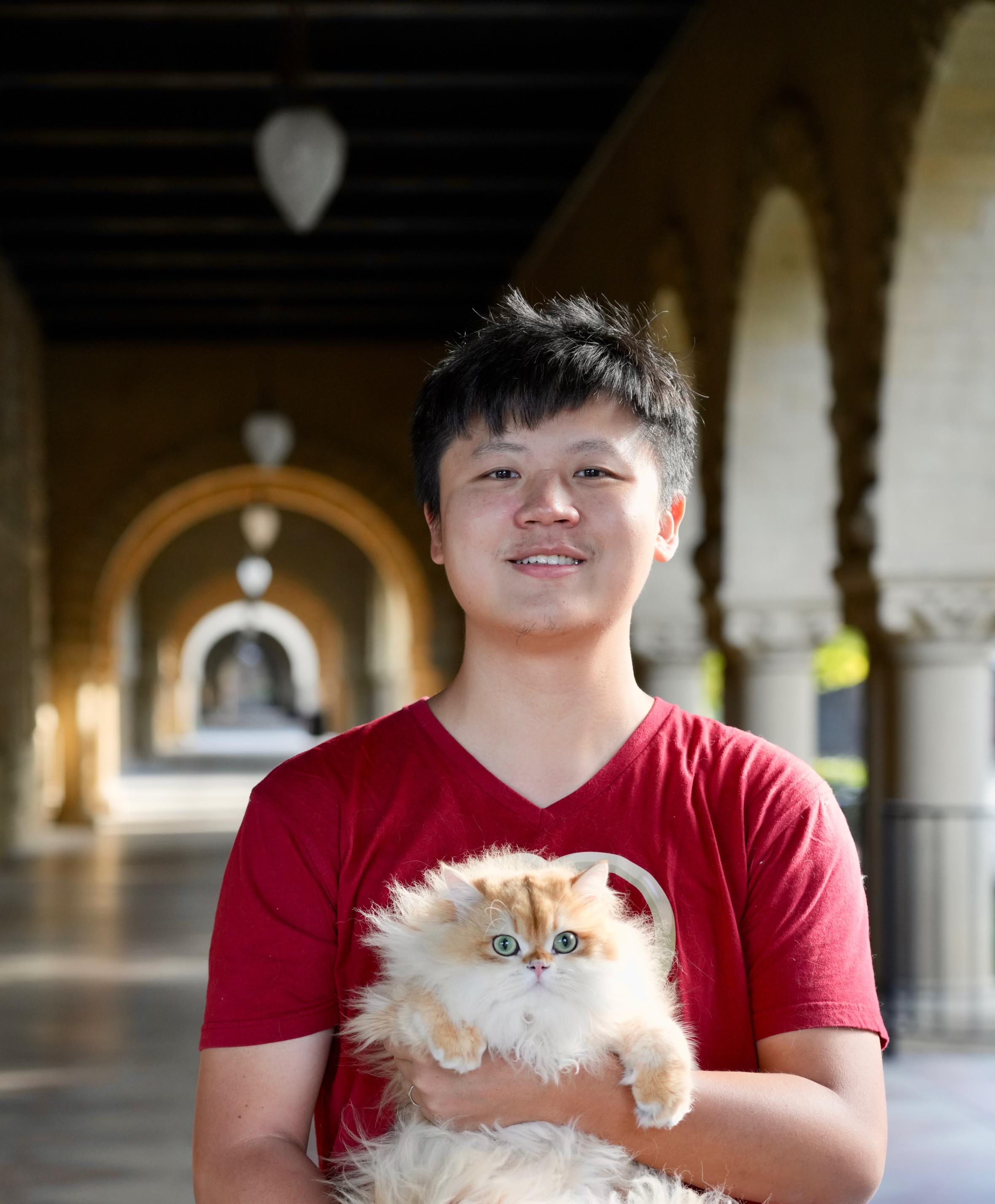 Descriptive text for the image